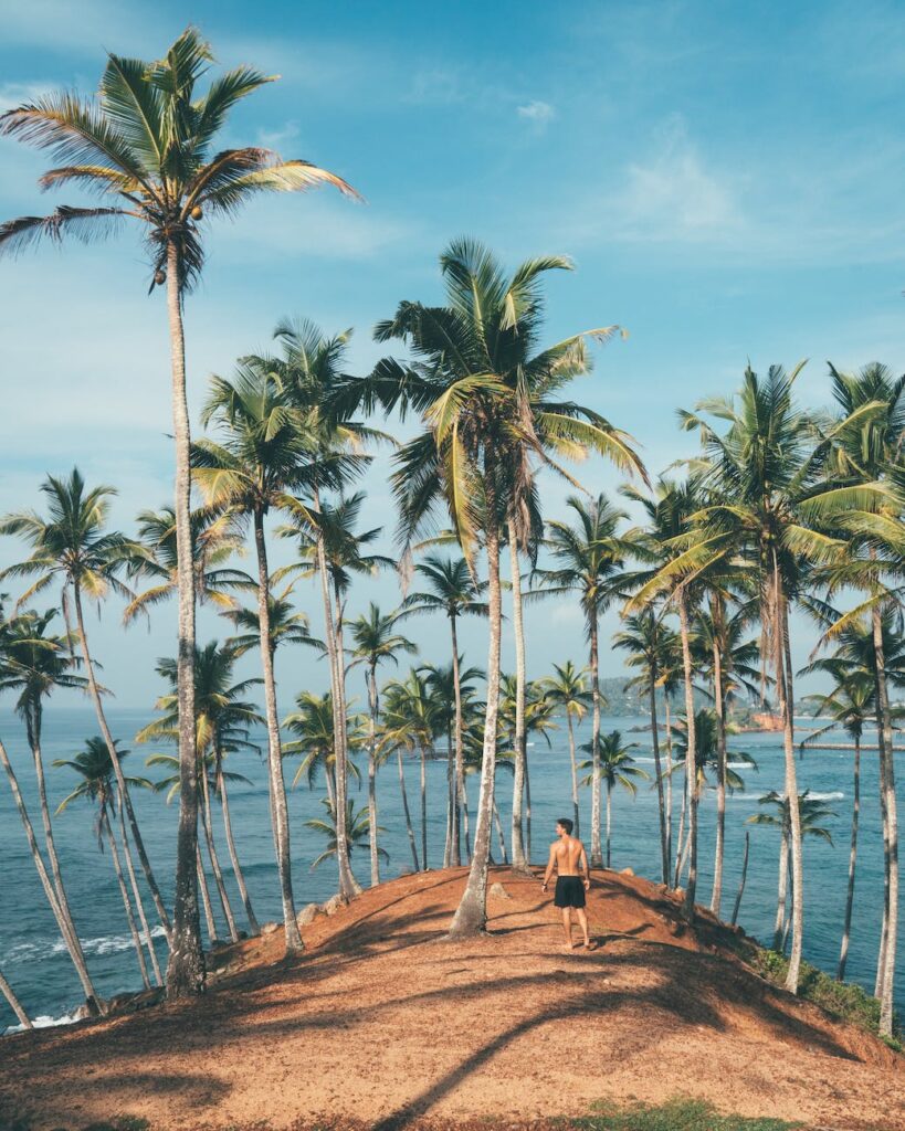 person standing on dirt surrounded by coconut trees